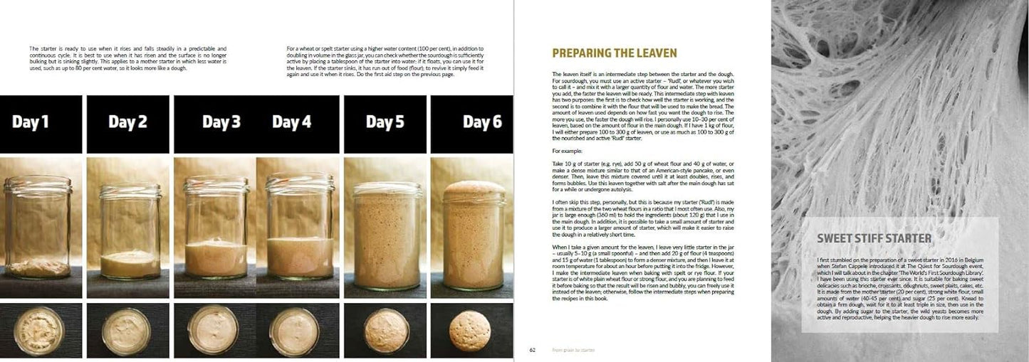 Harvest House Publishers Sourdough Mania 9781911621935 Books CDA Gourmet Bread Sourdough Mania 4