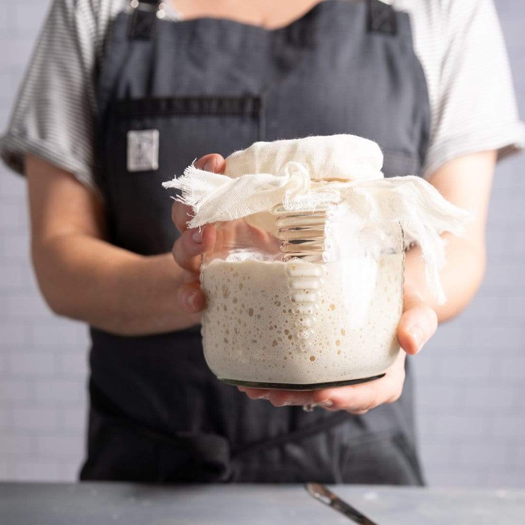Cultures for Health San Francisco Style Sourdough Starter Culture 814598020001 Gourmet Foods CDA Gourmet Baking Bread 4