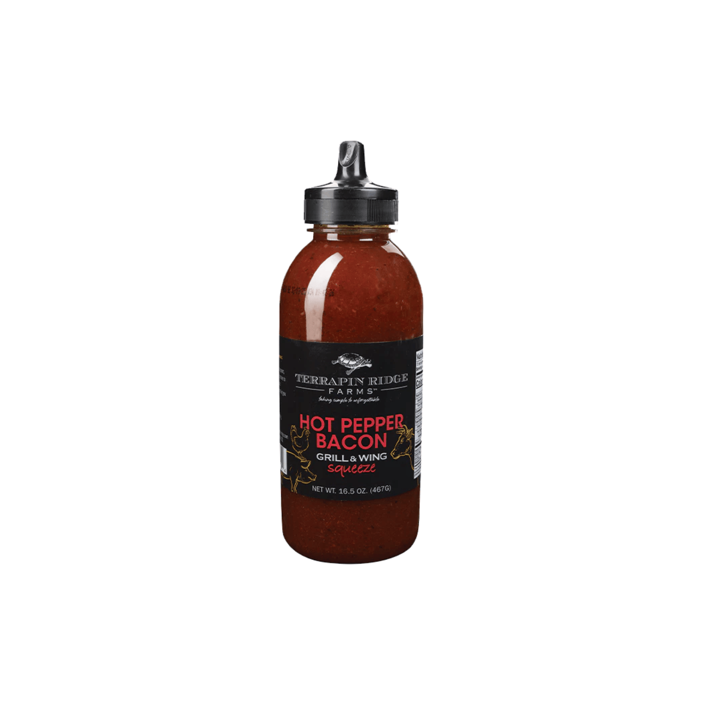 Terrapin Ridge Hot Pepper Bacon Grill and Wing Squeeze 619360850134 Gourmet Foods CDA Gourmet Cilantro Dressing 1