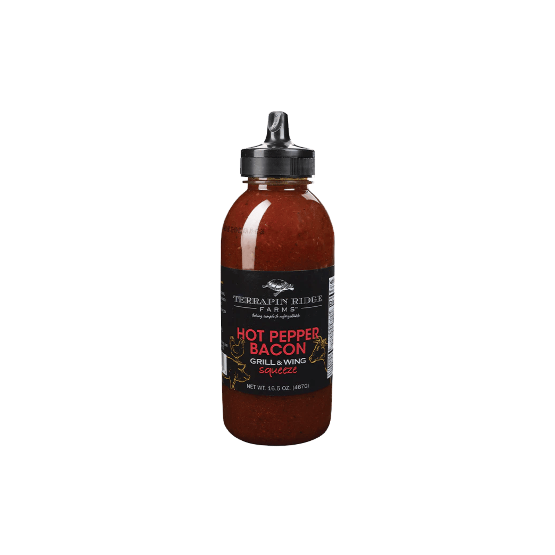 Terrapin Ridge Hot Pepper Bacon Grill and Wing Squeeze 619360850134 Gourmet Foods CDA Gourmet Cilantro Dressing 1